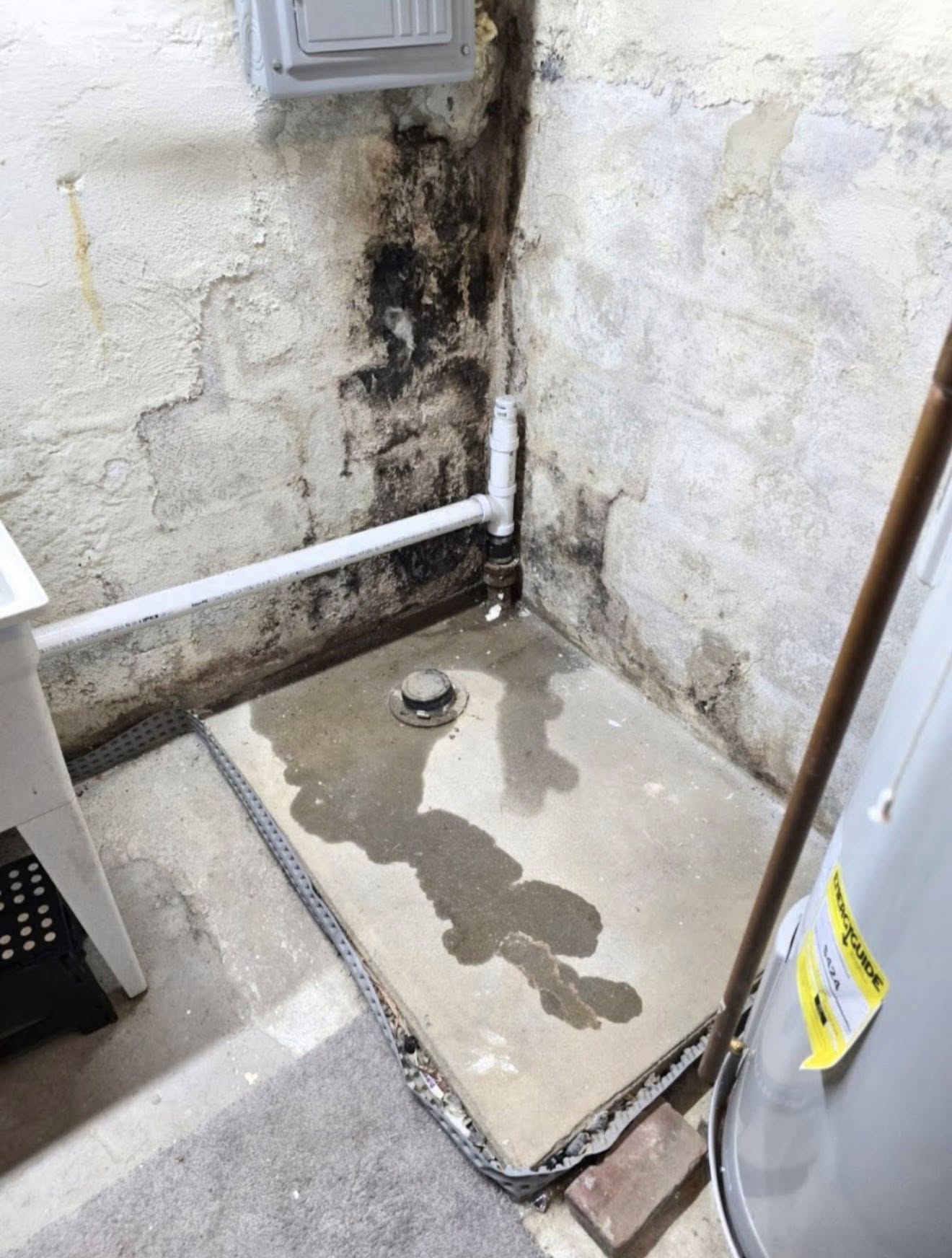 Jamison looked at a leaky basement needing repair