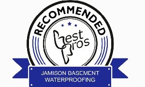 Best Pros Service Award